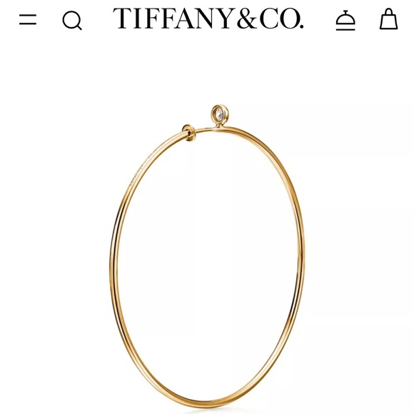 Tiffany & Co Elsa Peretti Diamond Hoop Earring - Picture 10 of 11